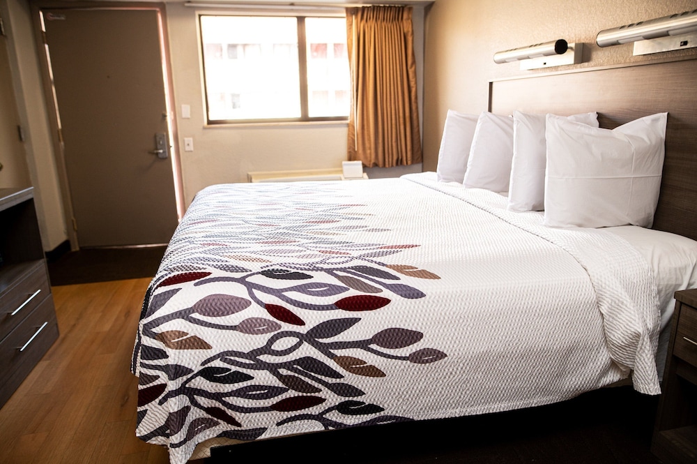 Red Roof Inn Rochester Henrietta - photo 14