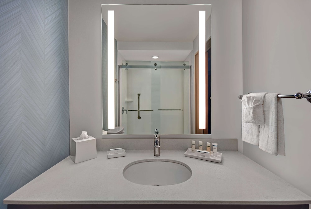 Hilton Garden Inn Houston Medical Center TX - photo 31