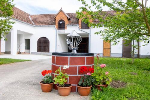 Studio apartman Ivana — 4-Star Luxury Hotel in Gradiste, Croatia