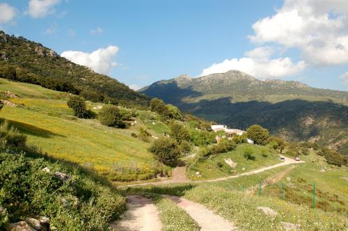 Cortijo Lagarín in Ronda, Spain