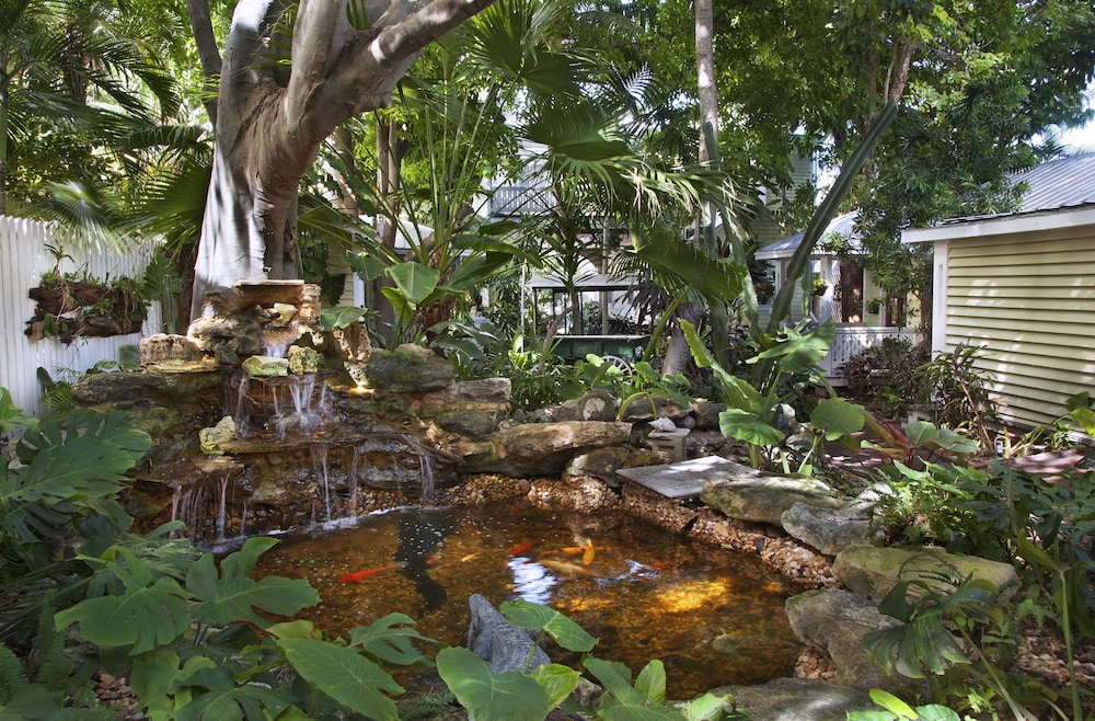 Island City House Hotel - photo 42