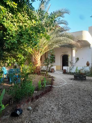 Villa Nile Queen guest house — 4-Star Luxury Hotel in Luxor, Egypt