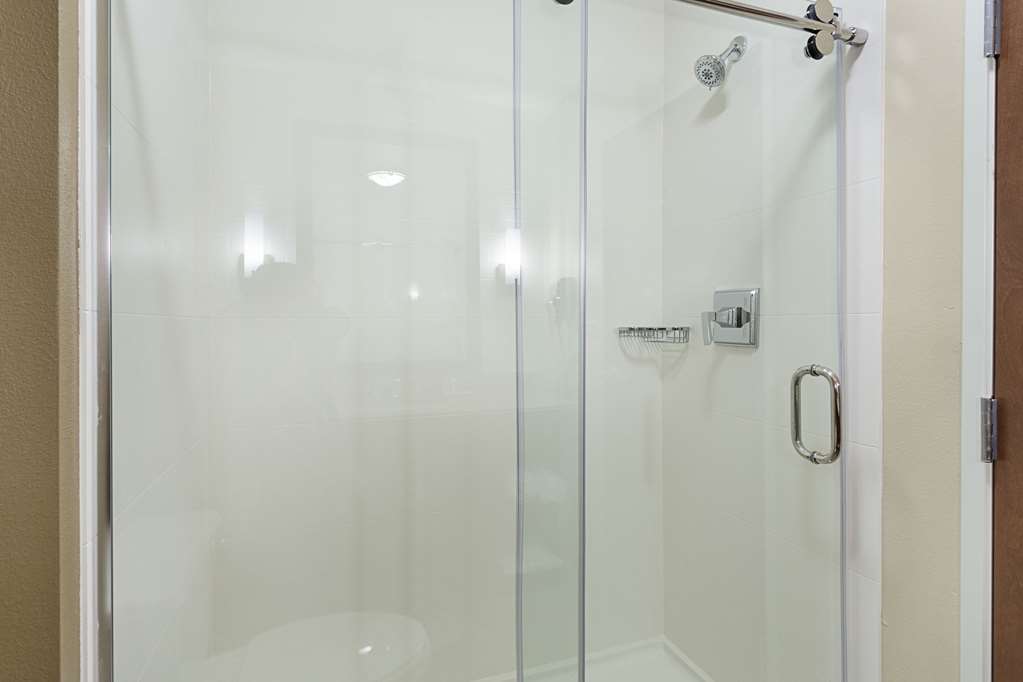 Comfort Inn & Suites Zachary - photo 23