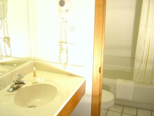 Wakota Inn and Suites - photo 9