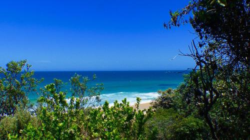 Ocean View Beachfront — Bermagui — photo 4