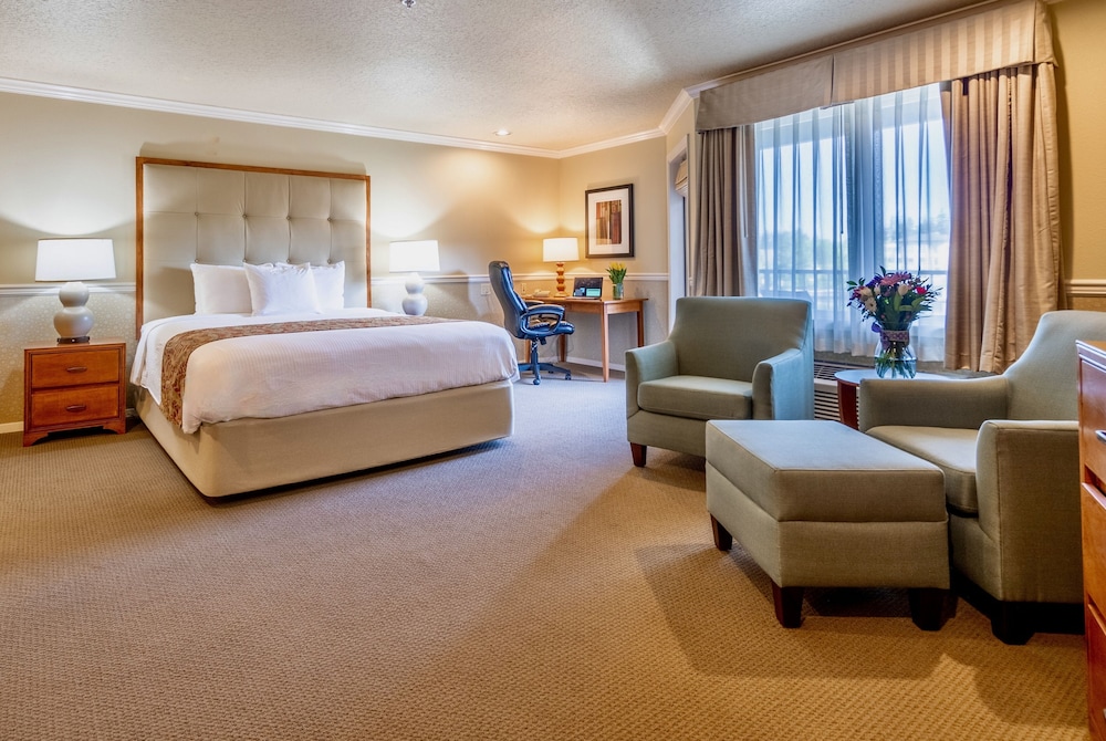 Century Hotel - photo 19