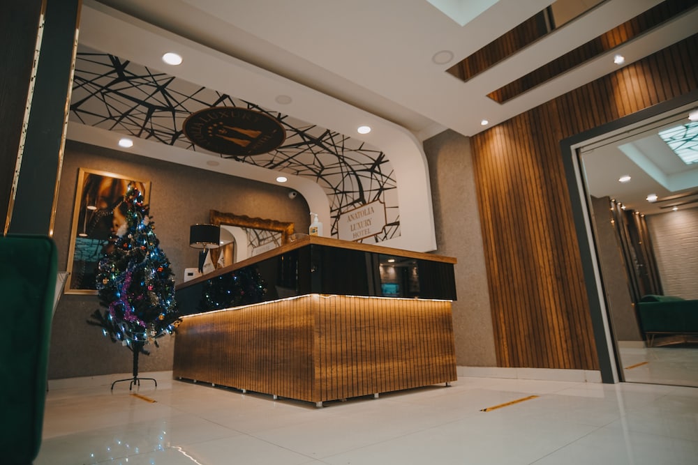 Anatolia Luxury Hotel — Ankara — photo 2