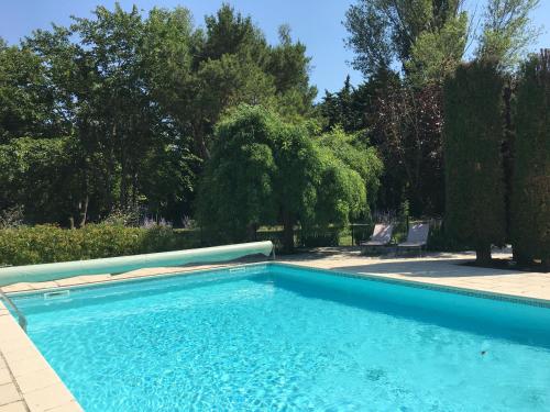 The Willow Tree in Le Thor, France