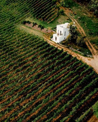 Sazü Balaton - last minute hotel in Unknown City