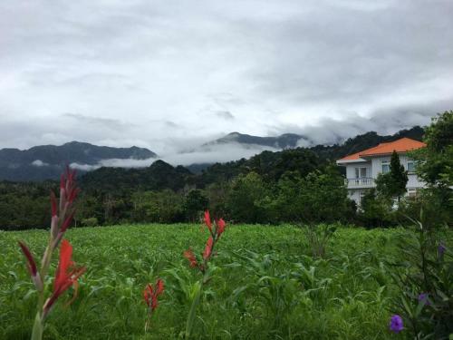 Little Wild - carbon neutral hotel in Unknown City