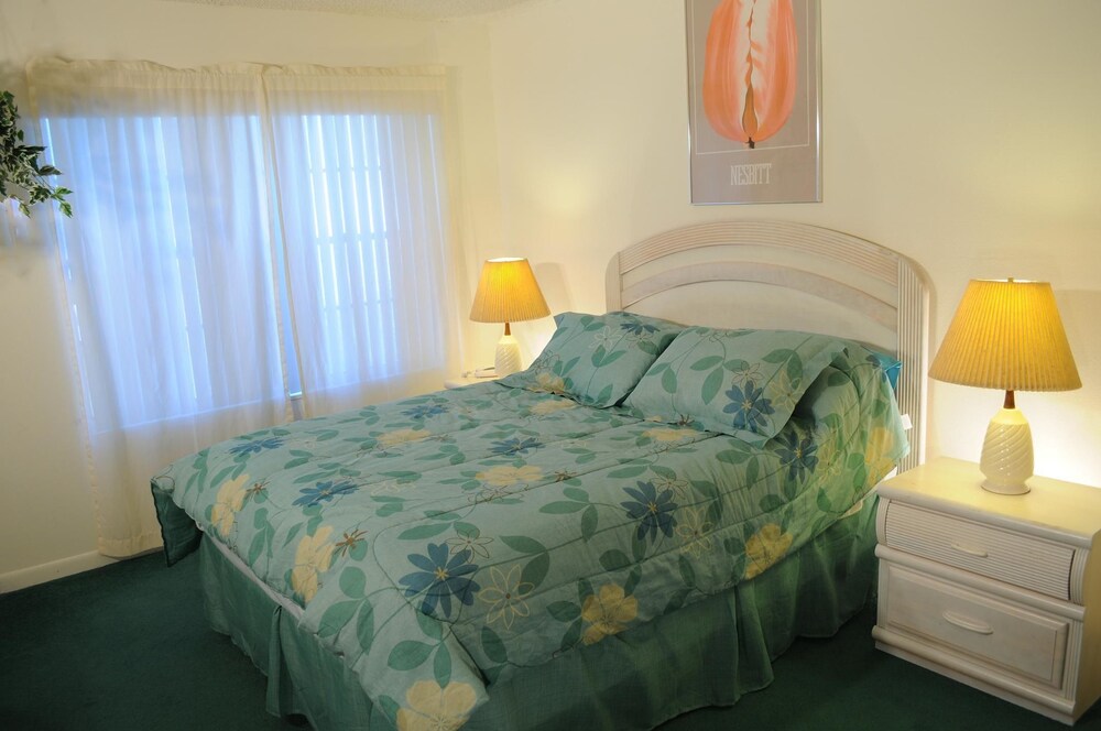 Ventura Resort Rentals Orlando - photo 6