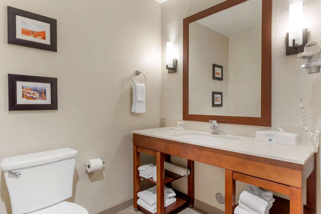 Comfort Suites St George University Area - photo 27