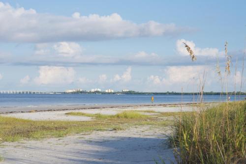 Delmar Dolphin - photo 17