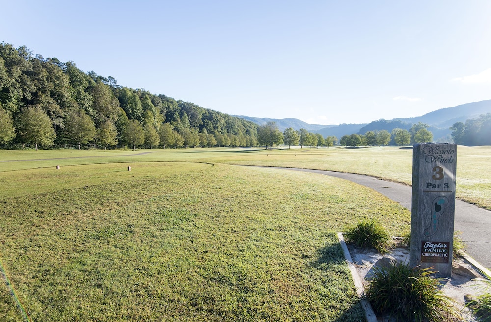 Pine Mountain State Resort Park - photo 36