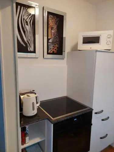 Apartment Nannerl — 4-Star Luxury Hotel in Salzburg, Austria