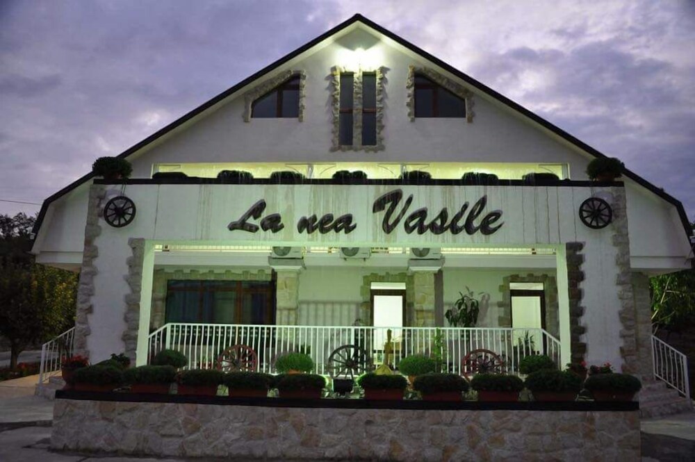 La Nea Vasile — Vaslui
