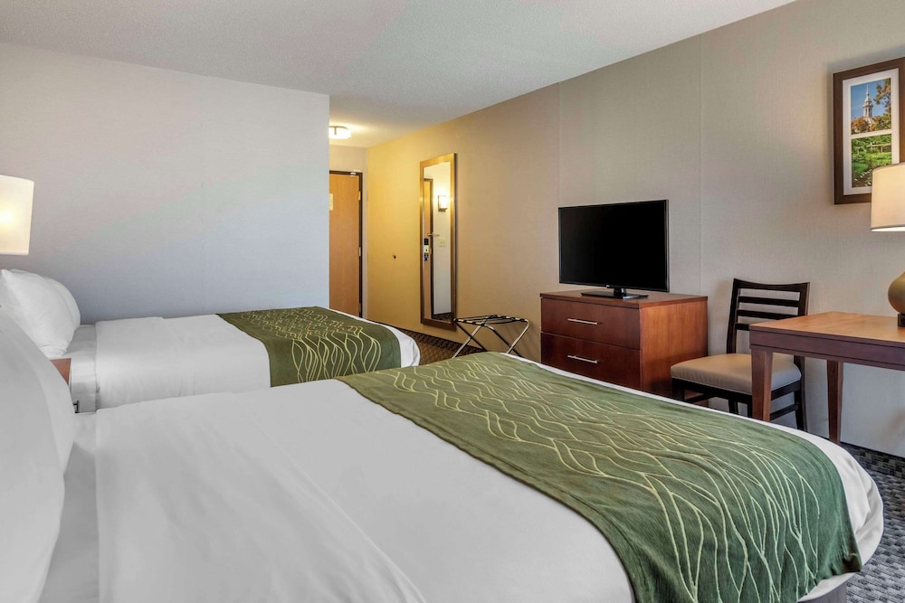 Comfort Inn Charlotte - photo 17