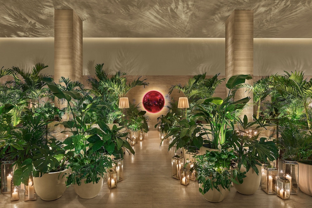 The Tampa Edition - photo 3