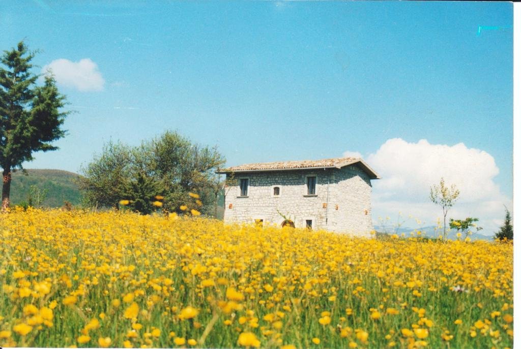Casino Tonti Iarussi pet-friendly hotel Forli Del Sannio