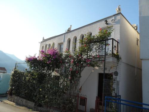Zagradge I.N. apartments — 4-Star Luxury Hotel in Sutomore, Montenegro