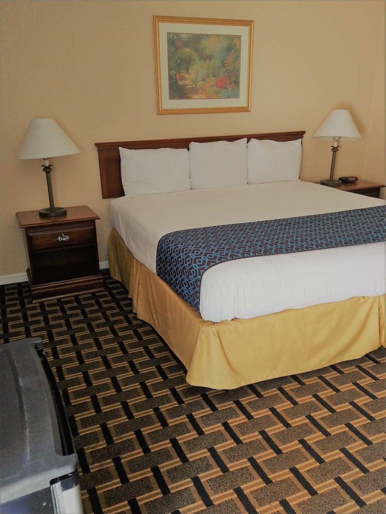 Grand View Plaza Inn & Suites - photo 53