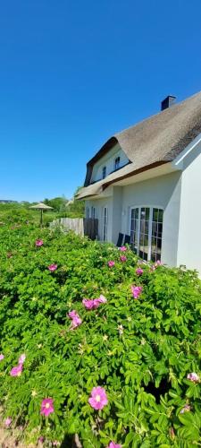 Ostseeurlaub XXL bis 12 Pers2Kinder Alte Liebe Haus AB — 4-Star Luxury Hotel in Dassow, Germany