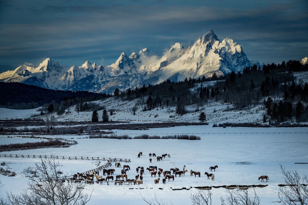 Buffalo Valley Ranch - photo 17