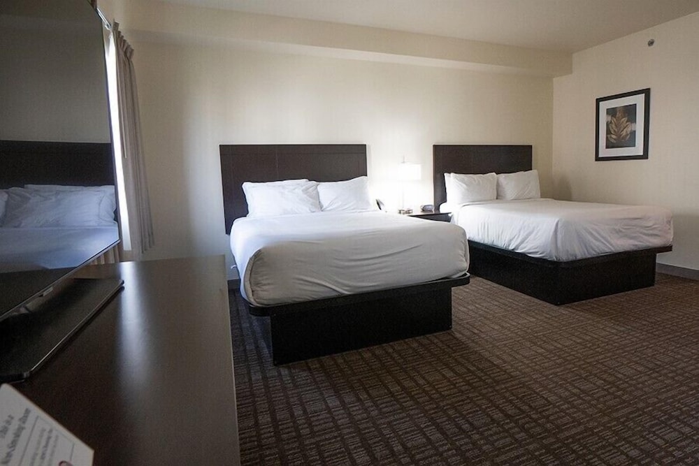 Cobblestone Inn & Suites Sheldon - photo 19