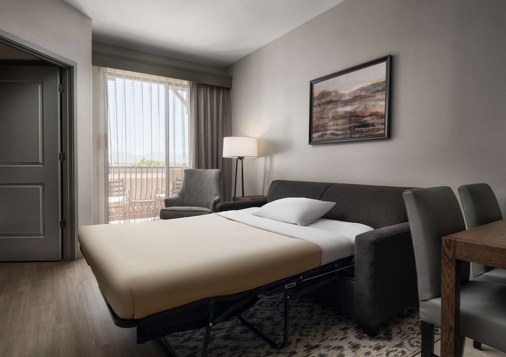Embassy Suites by Hilton Tucson Paloma Village - photo 6