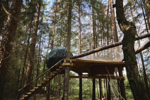 Palapinė Medyje — Garliava — photo 4