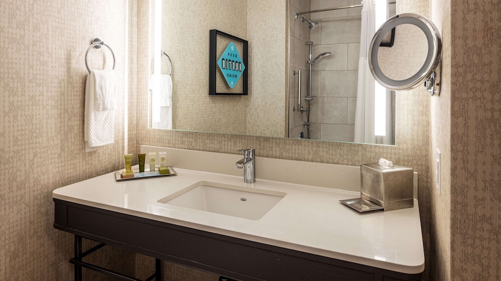 Hilton Austin Airport - photo 32