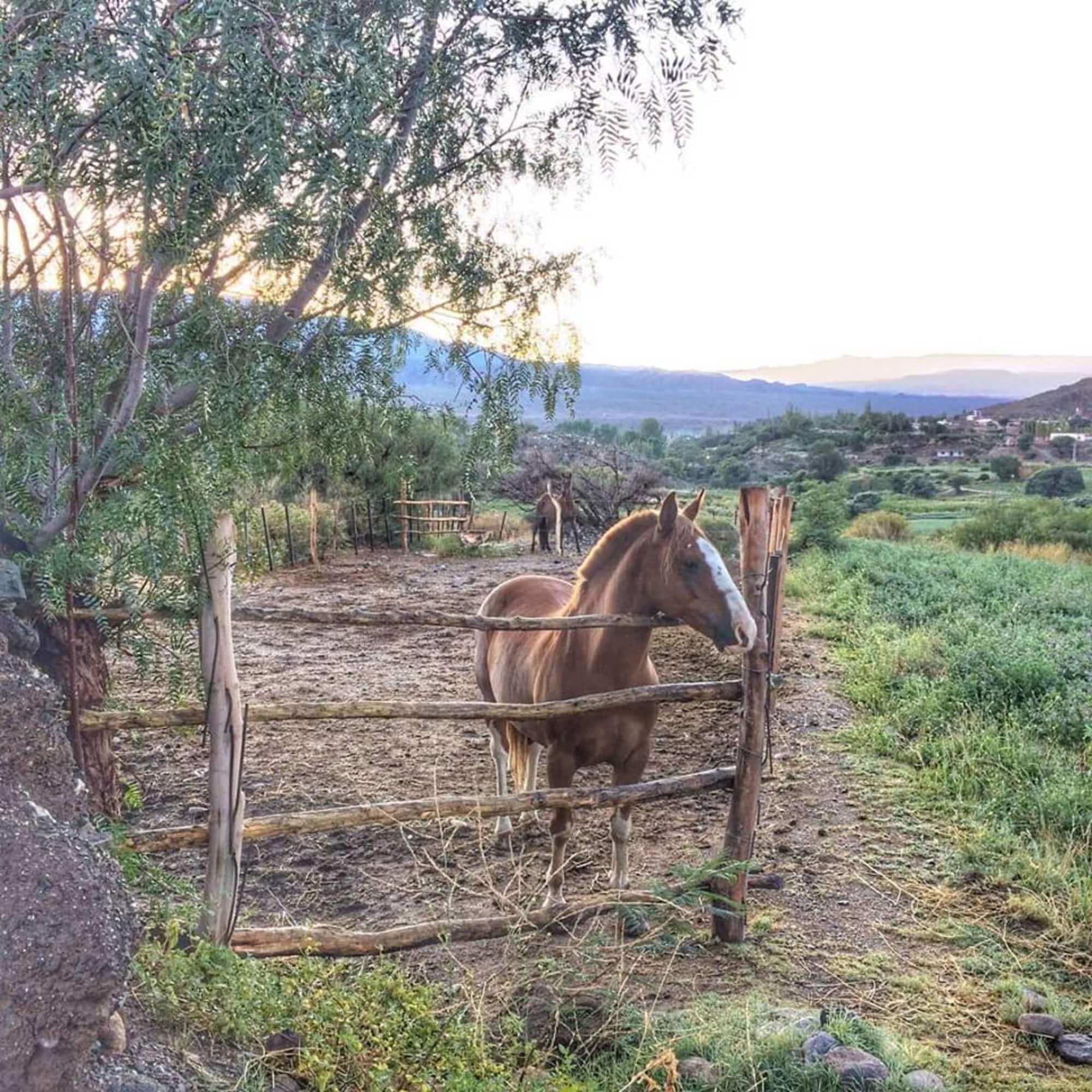 La Merced del Alto in Cachi, Argentina
