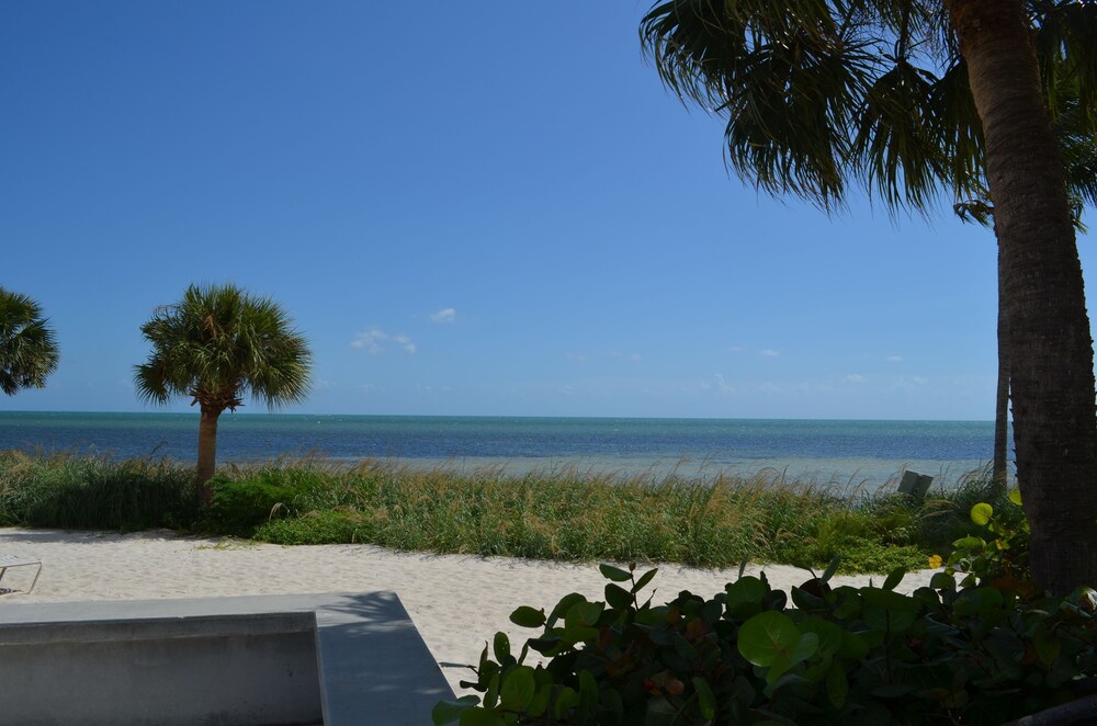 1800 Atlantic Suites - photo 52
