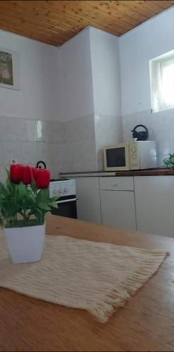 Kéktúrás Tóra Nyíló privát bérlemény — hotel in Badacsonytomaj