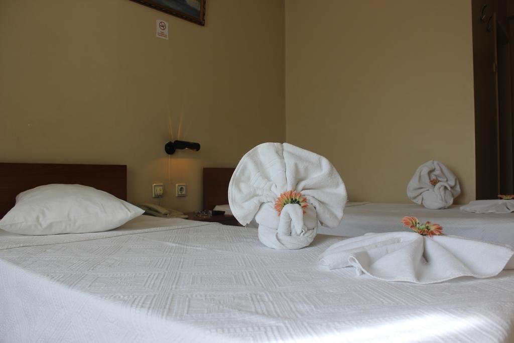 Hotel Kozluca — Izmit — photo 4