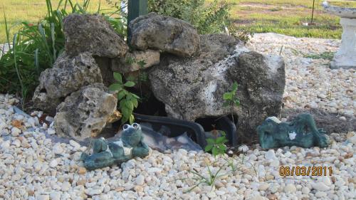 High Springs Country Inn - photo 7