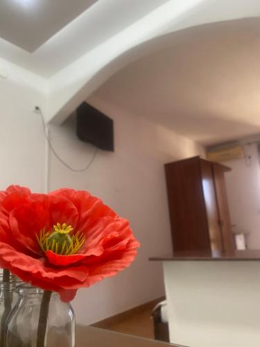 Katana — Ulcinj — photo 2