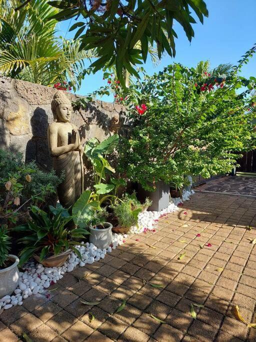 The Tropical Paradise — Albion — photo 2