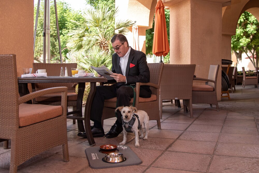 The Westin Rancho Mirage Golf Resort & Spa - photo 91