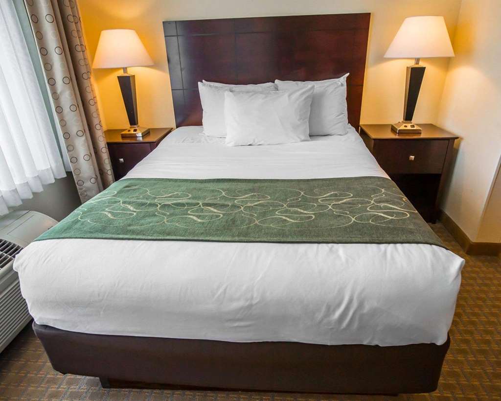 Comfort Suites University Area Notre Dame South Bend - photo 17