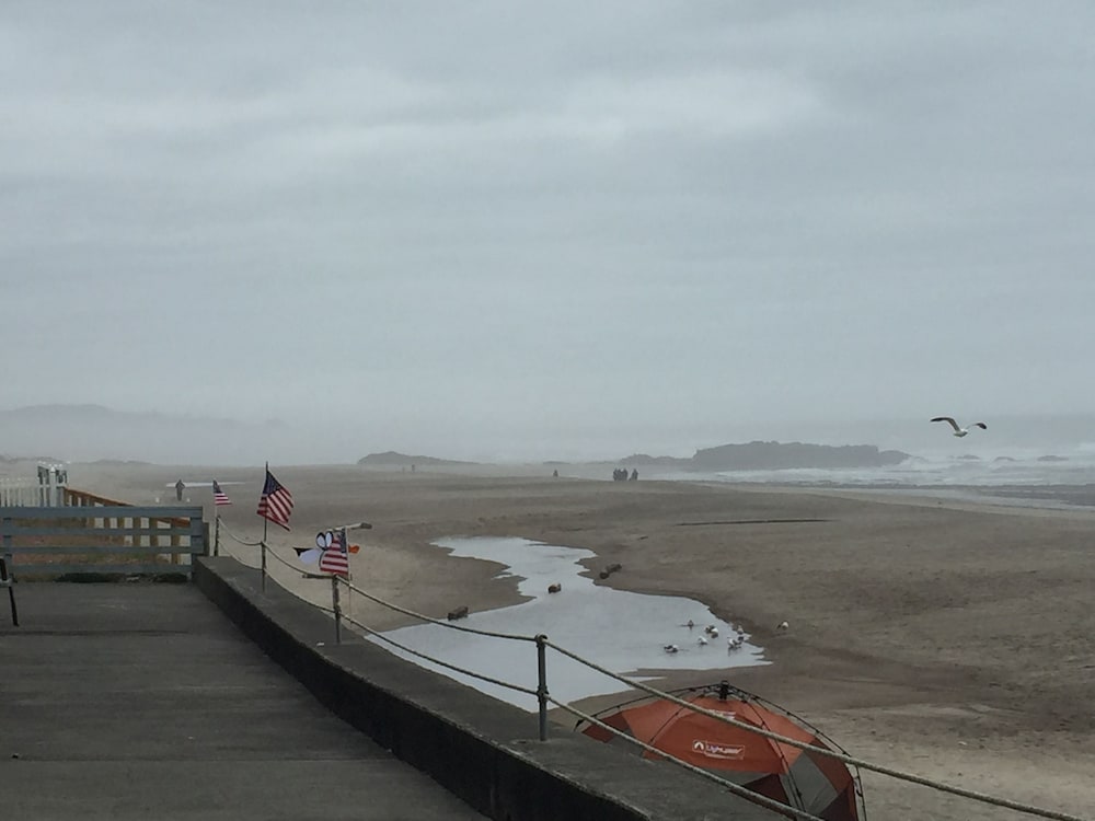 The Sandcastle Beachfront Hotel - photo 108