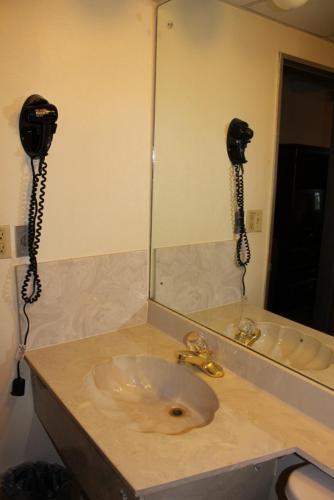 Executive Inn of Knoxville - photo 8
