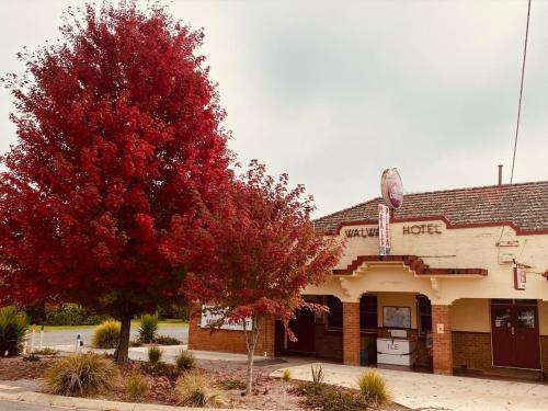 Walwa Hotel - last minute hotel in Unknown City