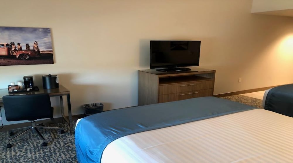 Havasu Landing Resort & Casino - photo 8