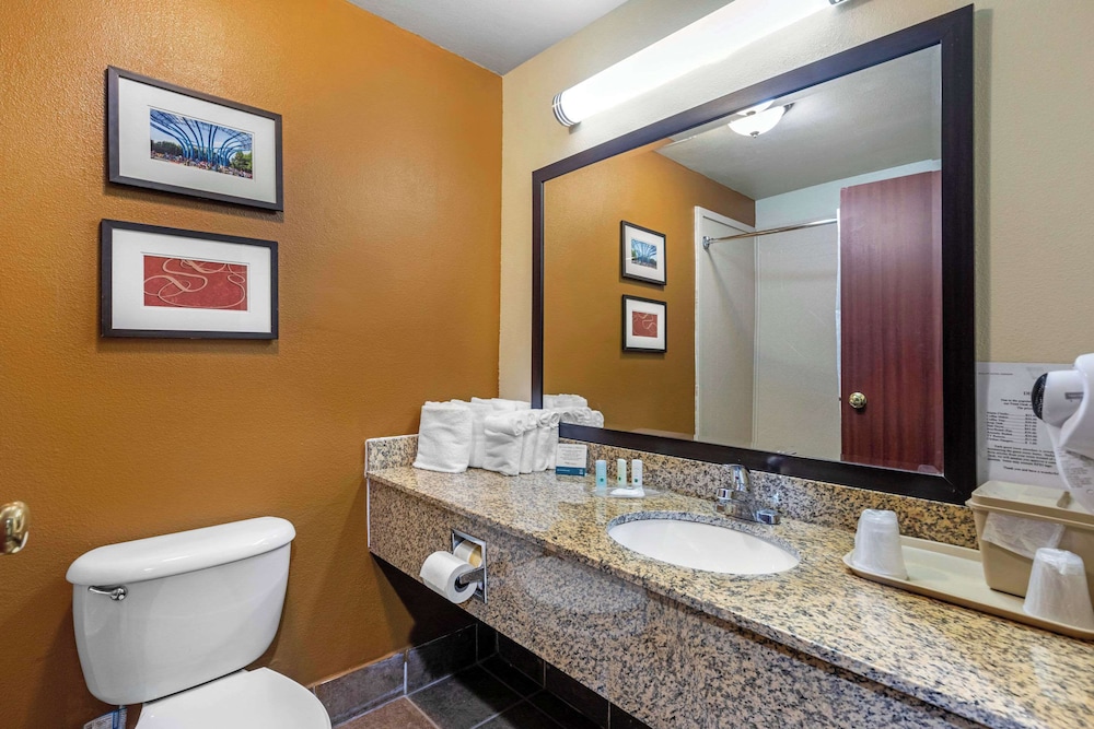 Quality Suites Addison Dallas - photo 15