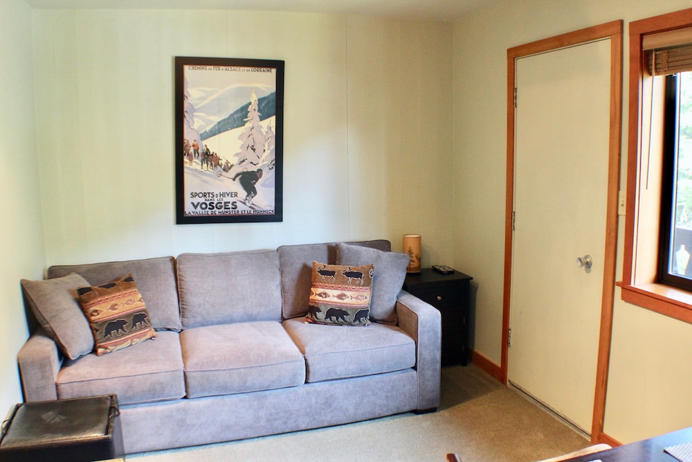 Crystal Chalets Condominiums at Crystal Mountain Ski Resort - photo 99