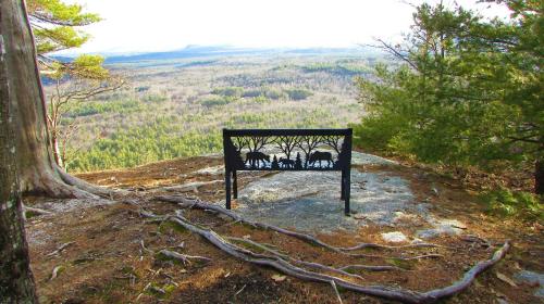 Center Lovell Inn - photo 55