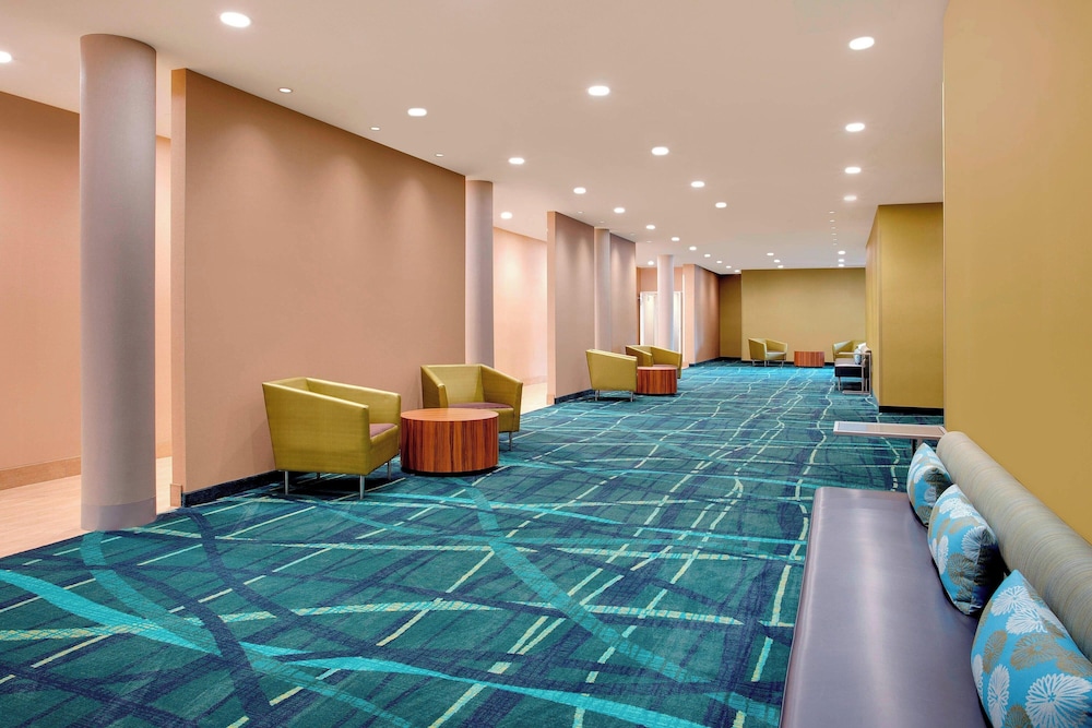 SpringHill Suites by Marriott Murray - photo 22