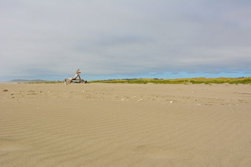 Surfcrest Resort - photo 56