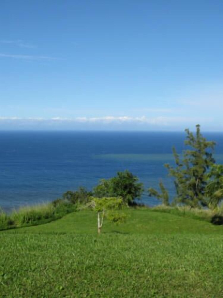 Hale Kukui Orchard & Cottages - photo 50